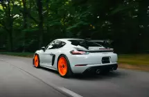 grigiocampovologt4rs-07