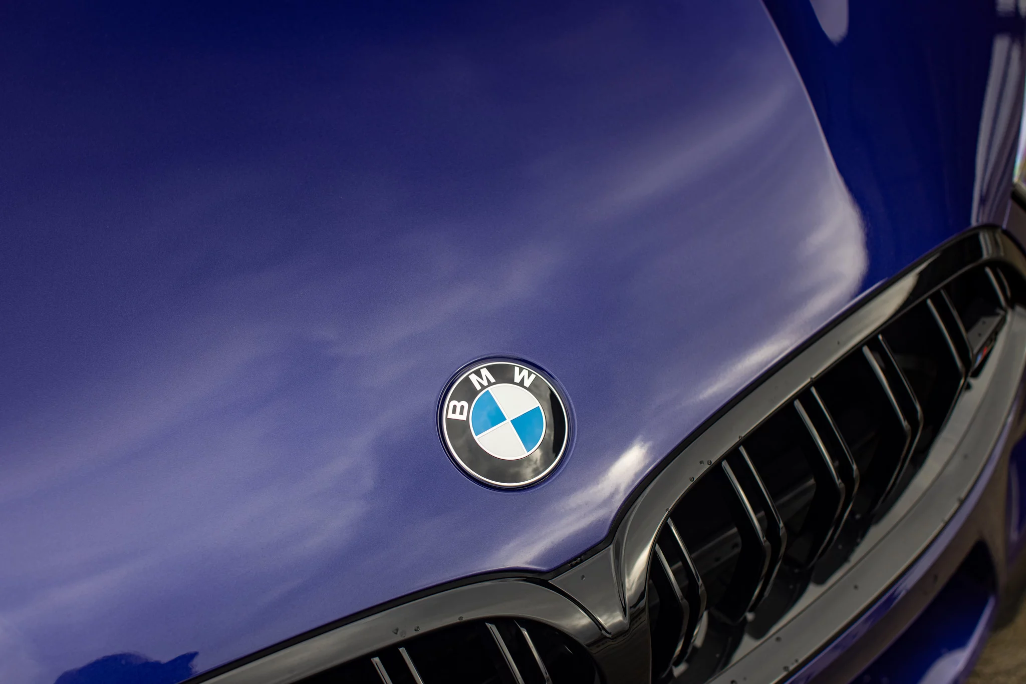 Velvet Blue BMW M8