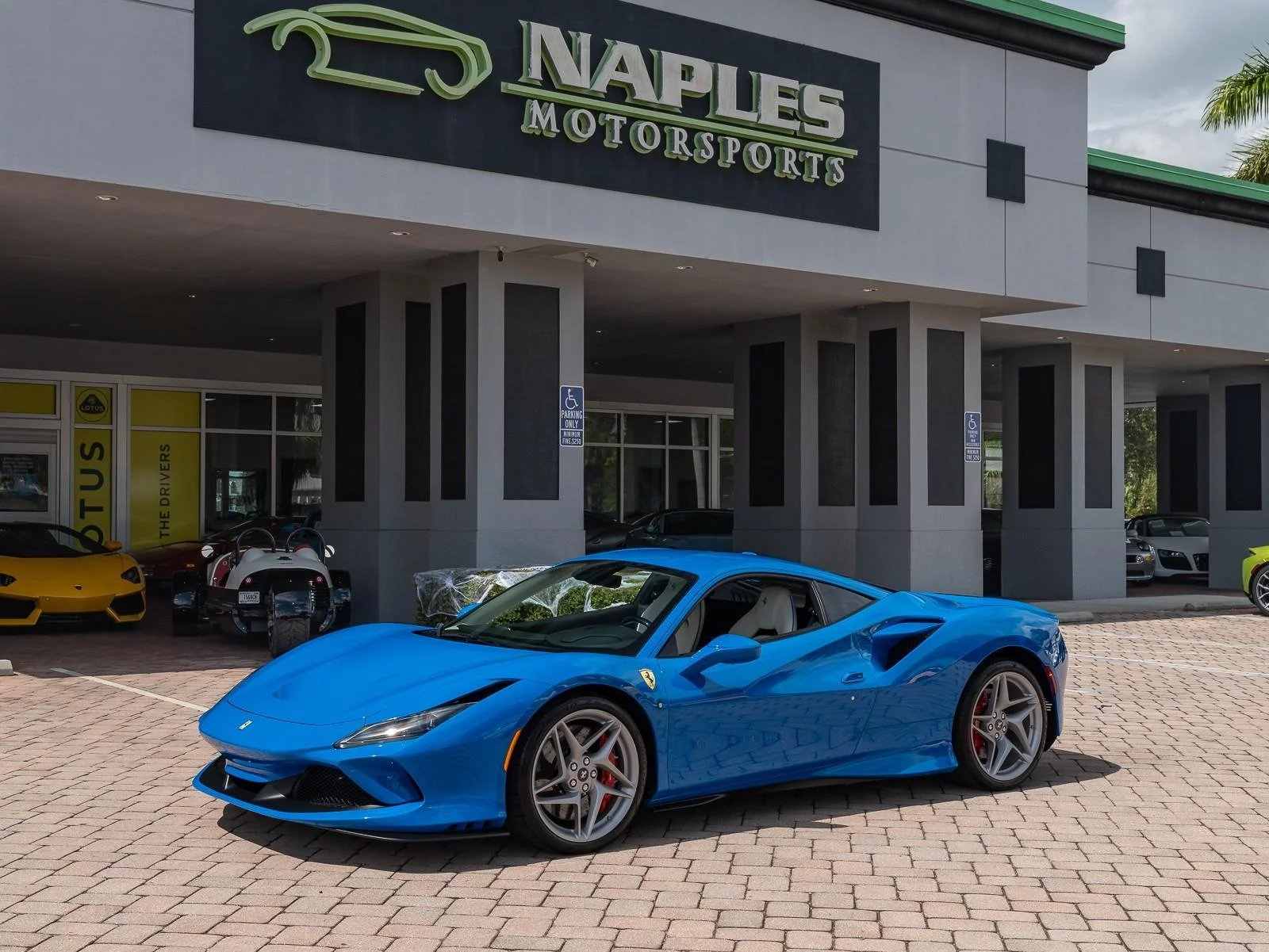 Azzurro Dino Ferrari F8