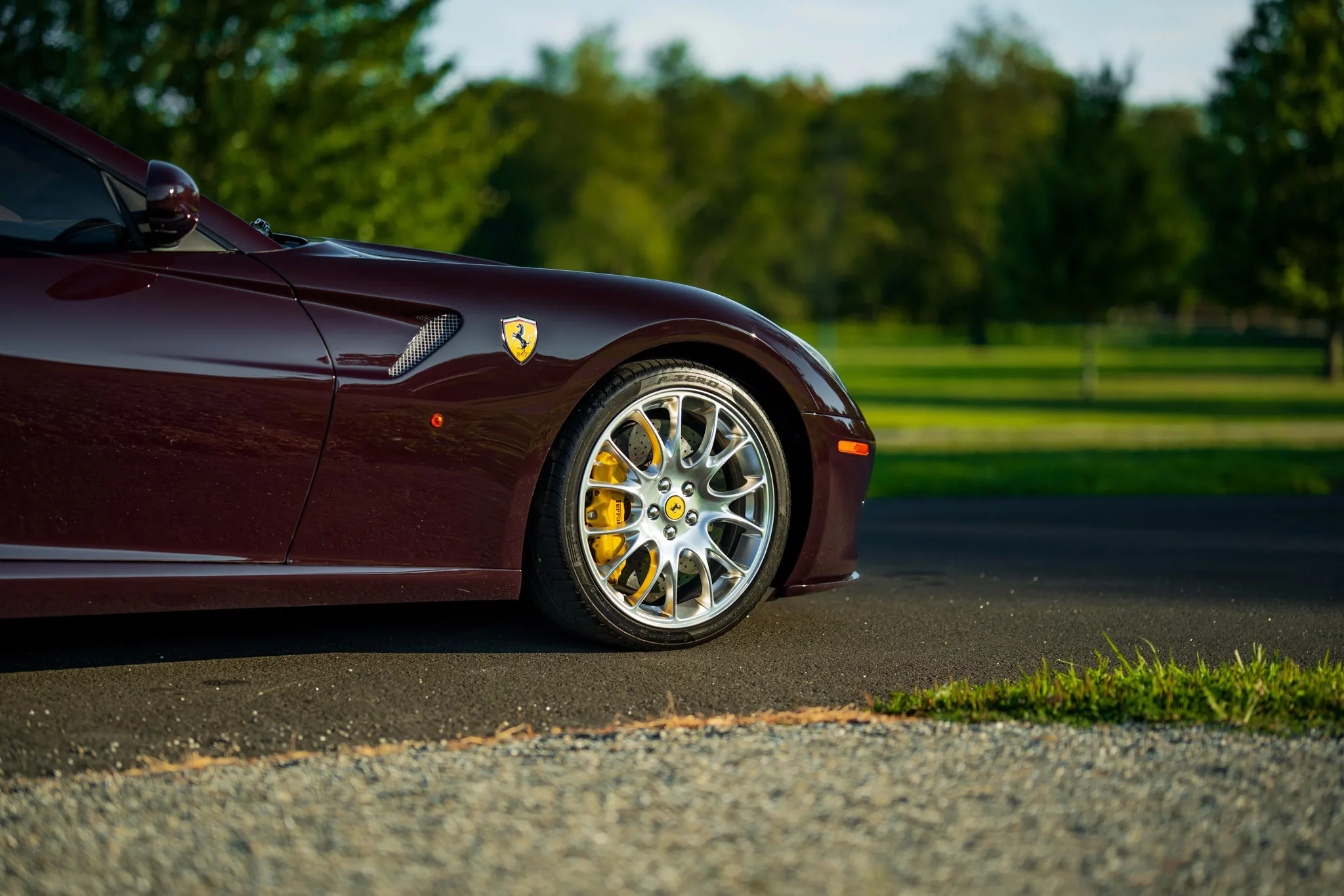 Vinaccia Ferrari 599