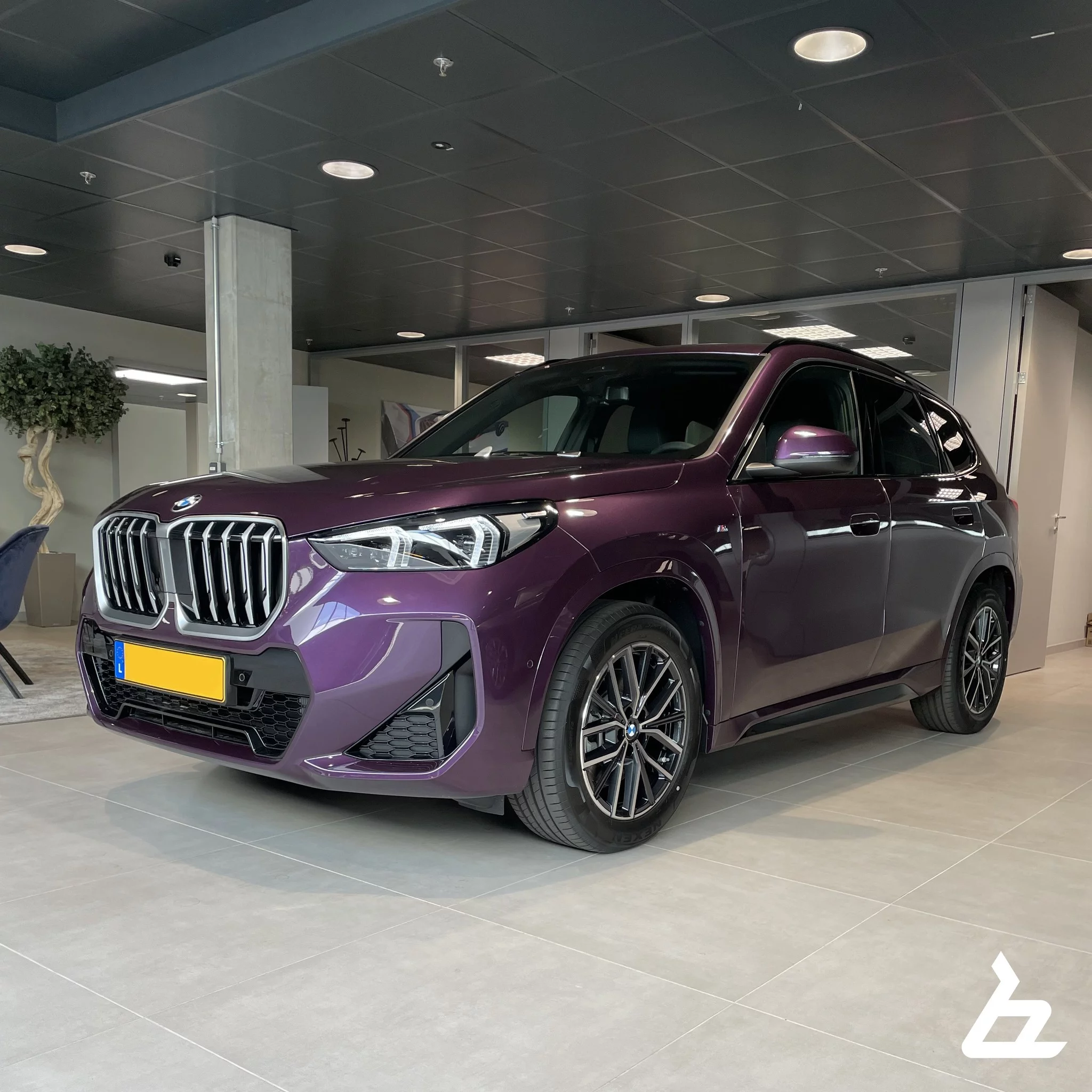 Purple Silk BMW X1