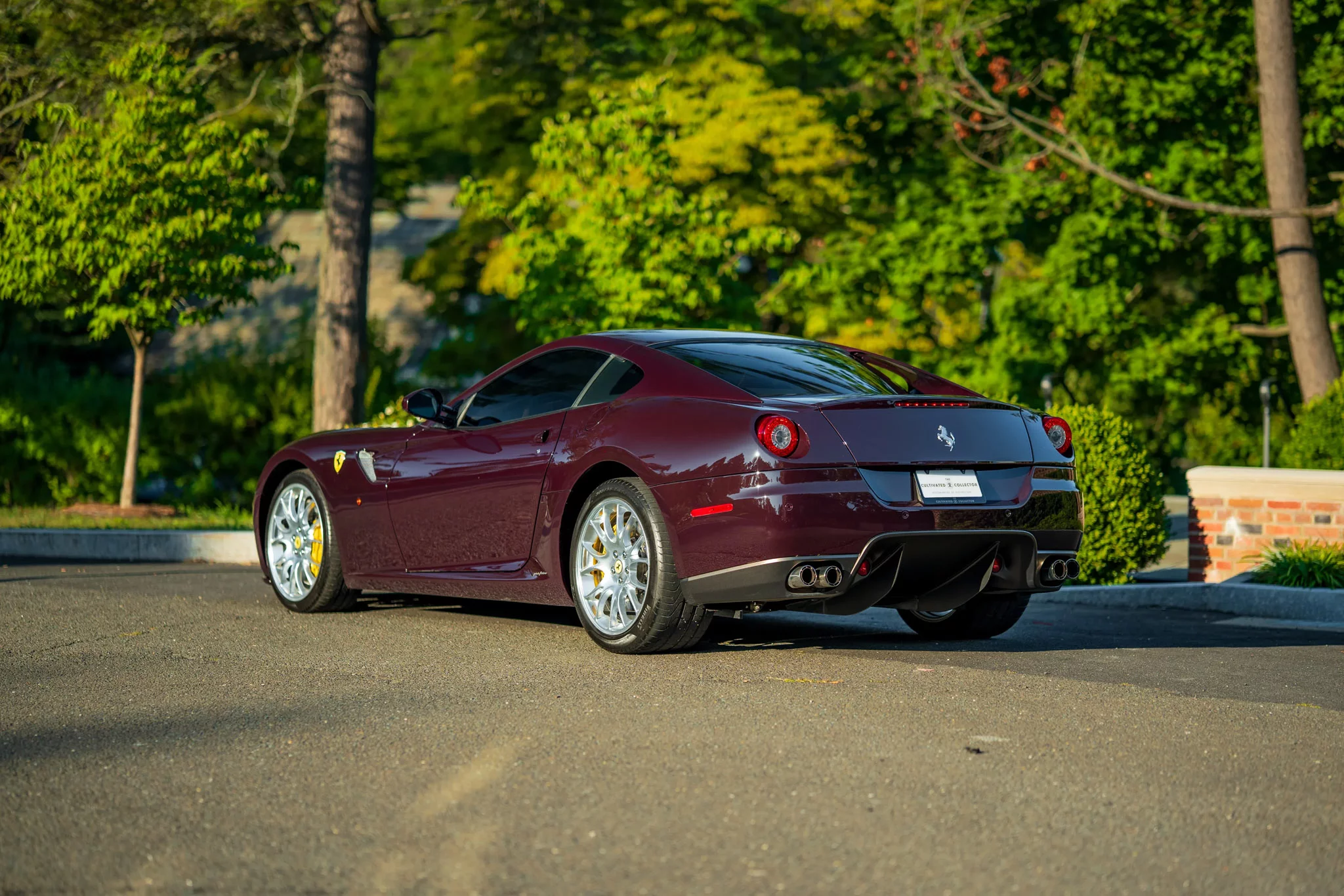 Vinaccia Ferrari 599