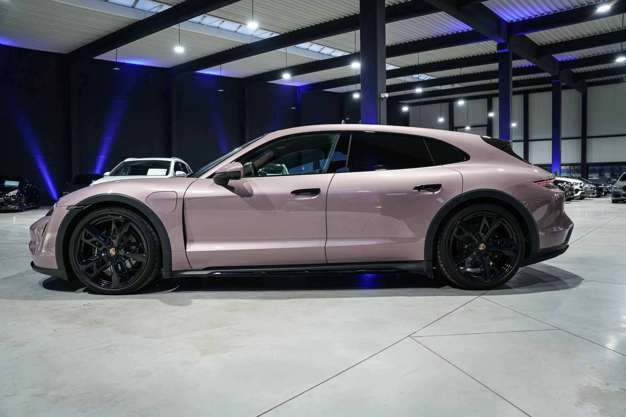 Frozen Berry Metallic Porsche Taycan