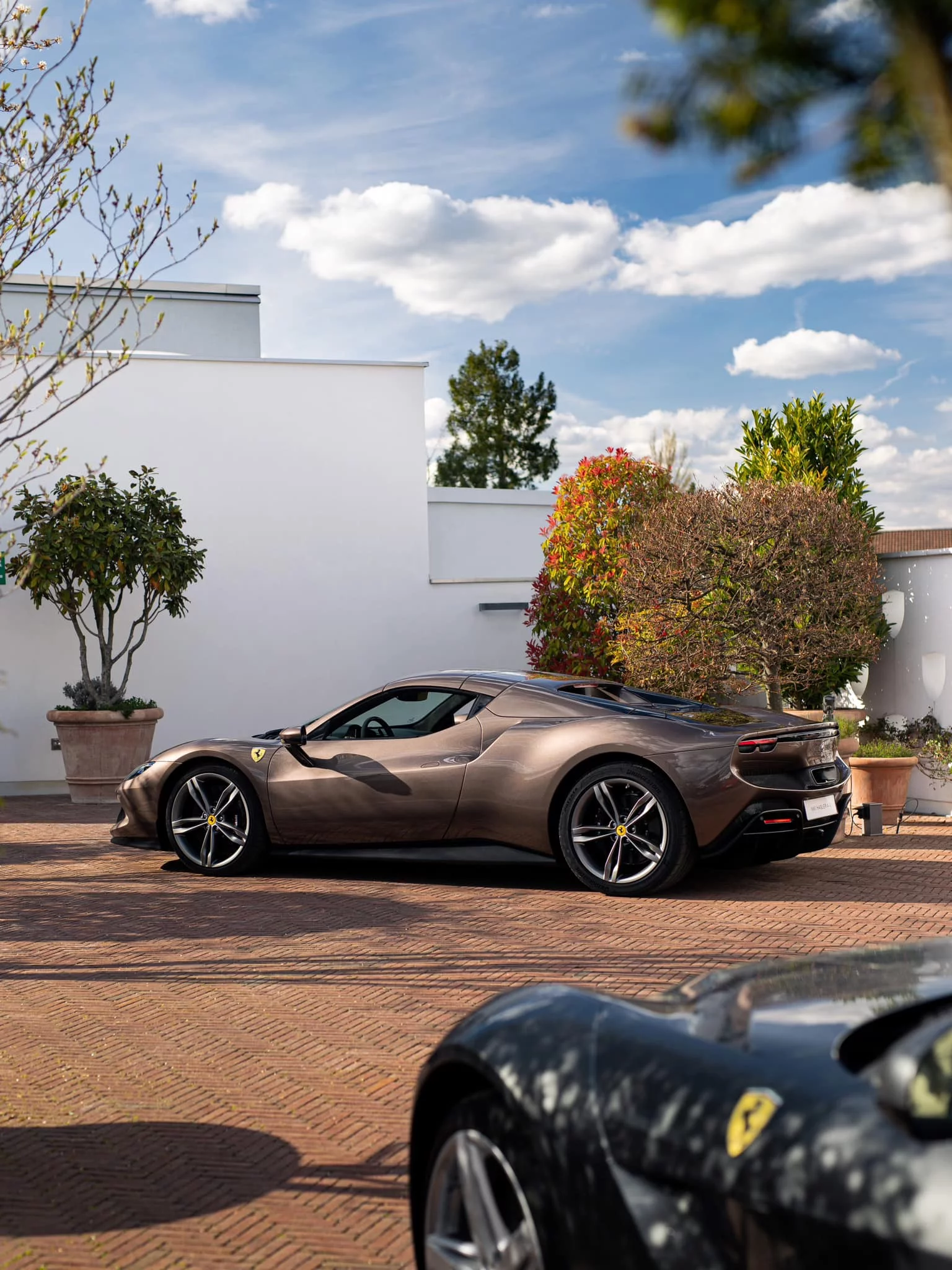 Bronzo Cauley Ferrari 296