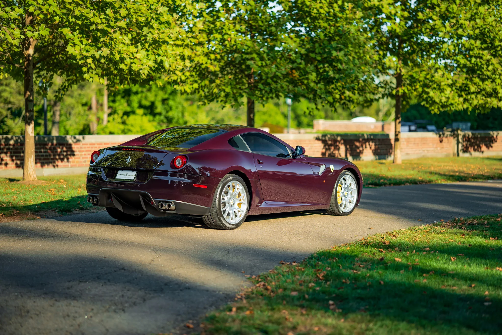 Vinaccia Ferrari 599