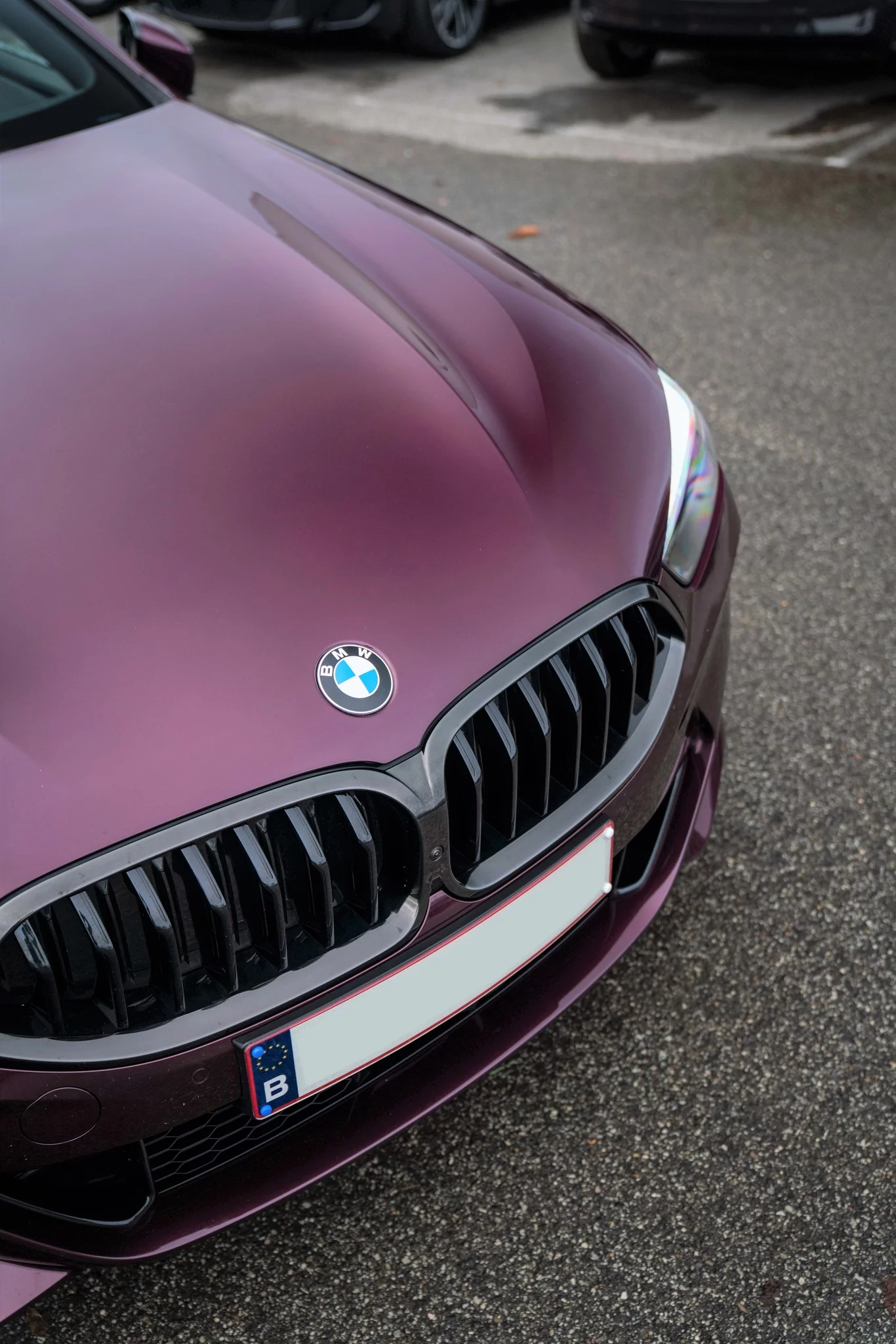 Wildberry BMW 8 Series