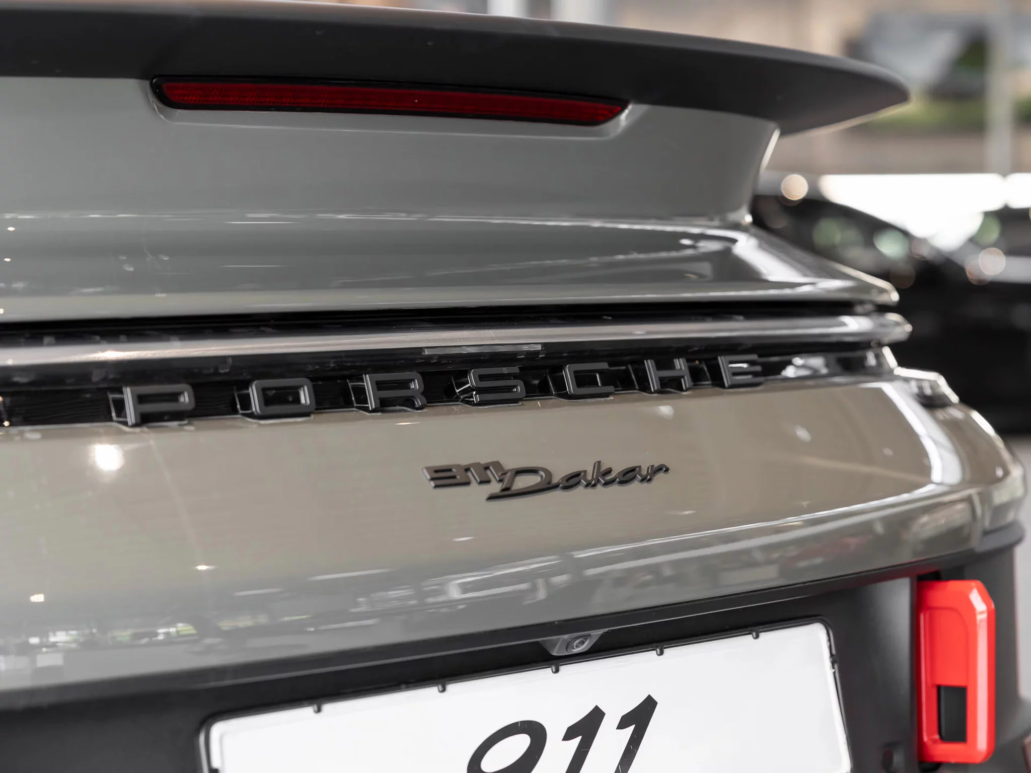 Alex Grey Porsche 911 Dakar