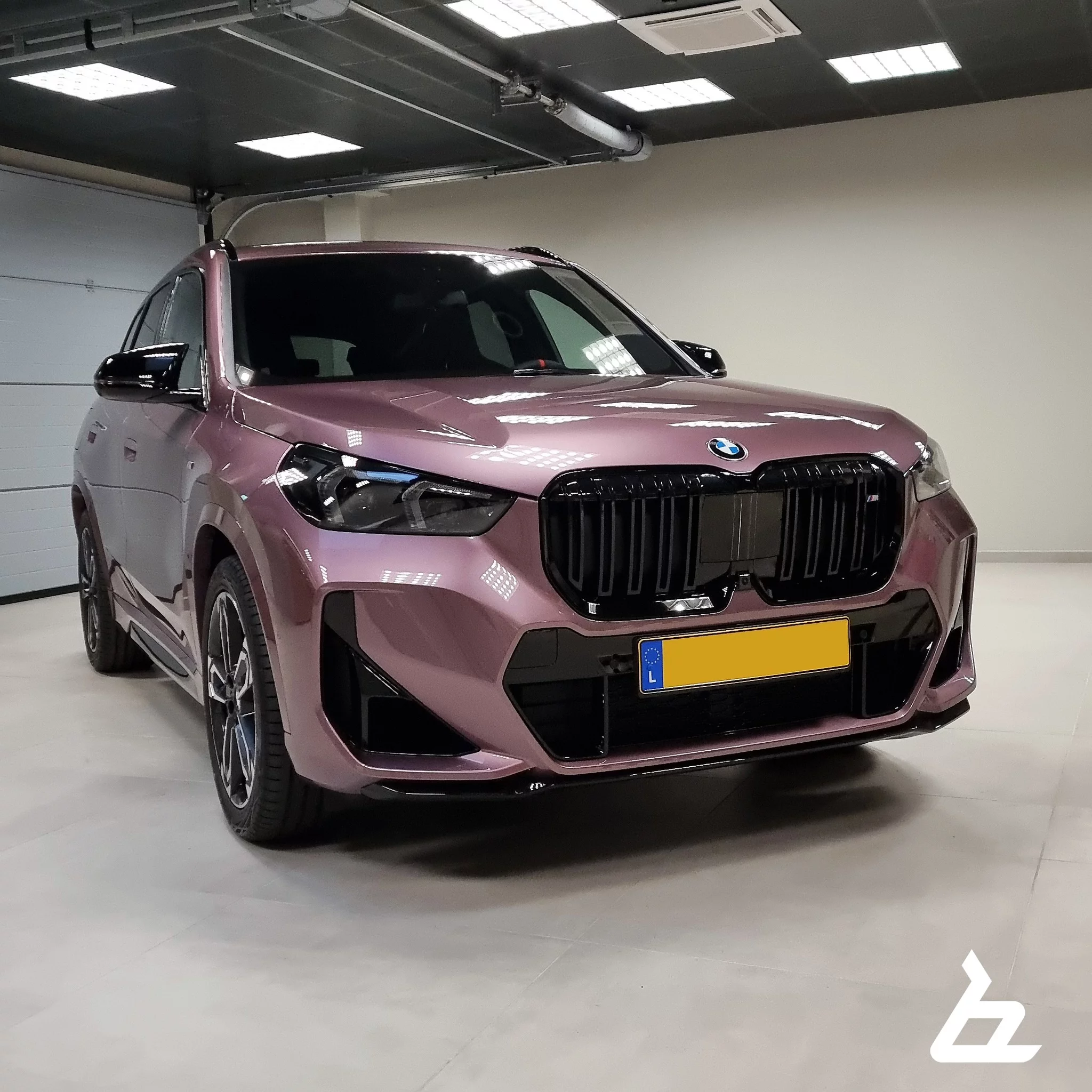 Velvet Orchid II BMW X1