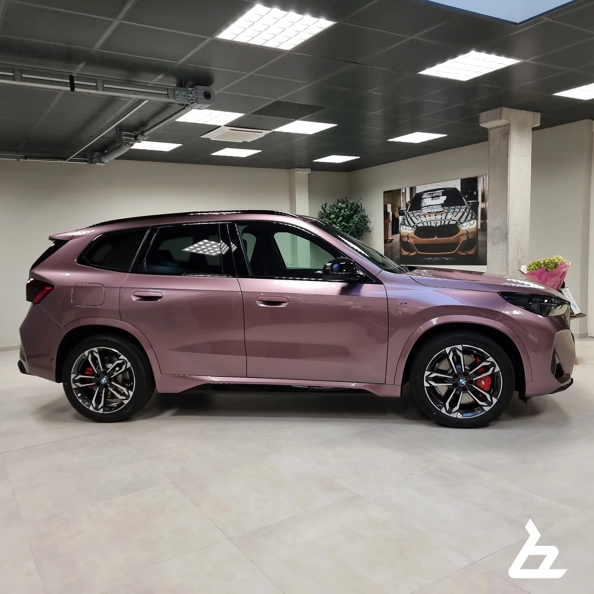 Velvet Orchid II BMW X1