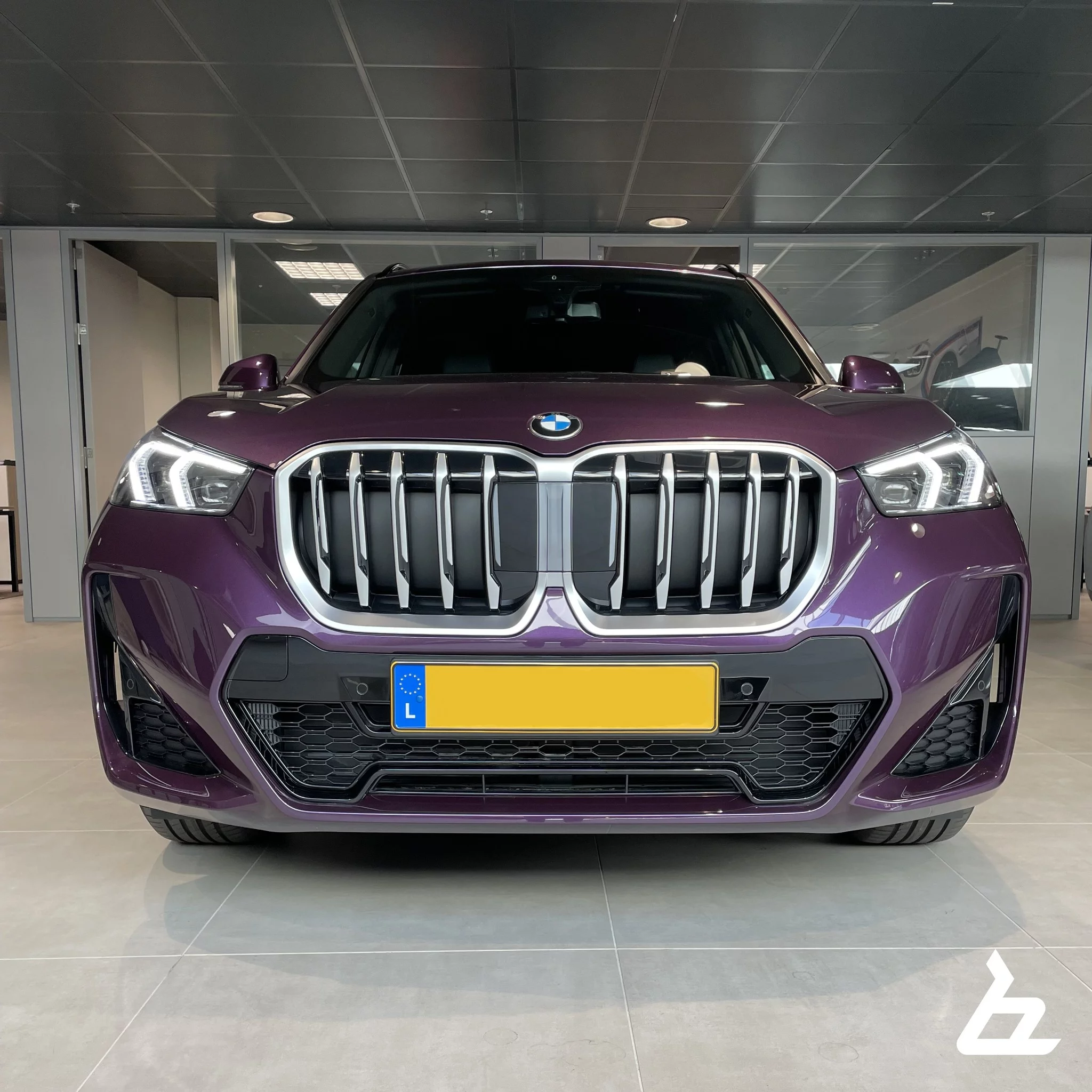 Purple Silk BMW X1