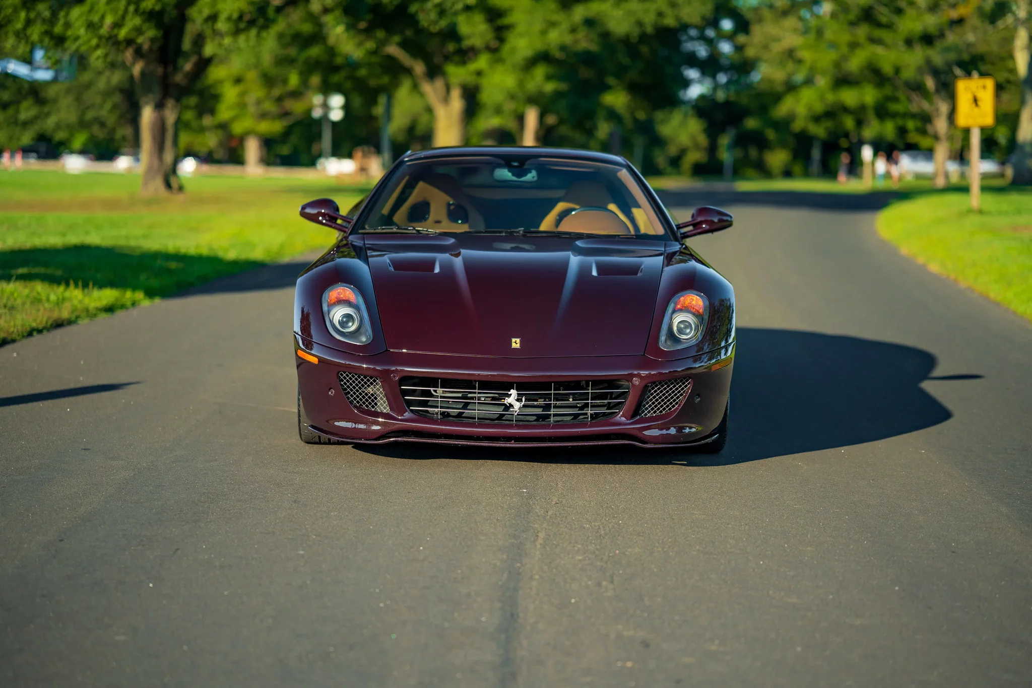 Vinaccia Ferrari 599