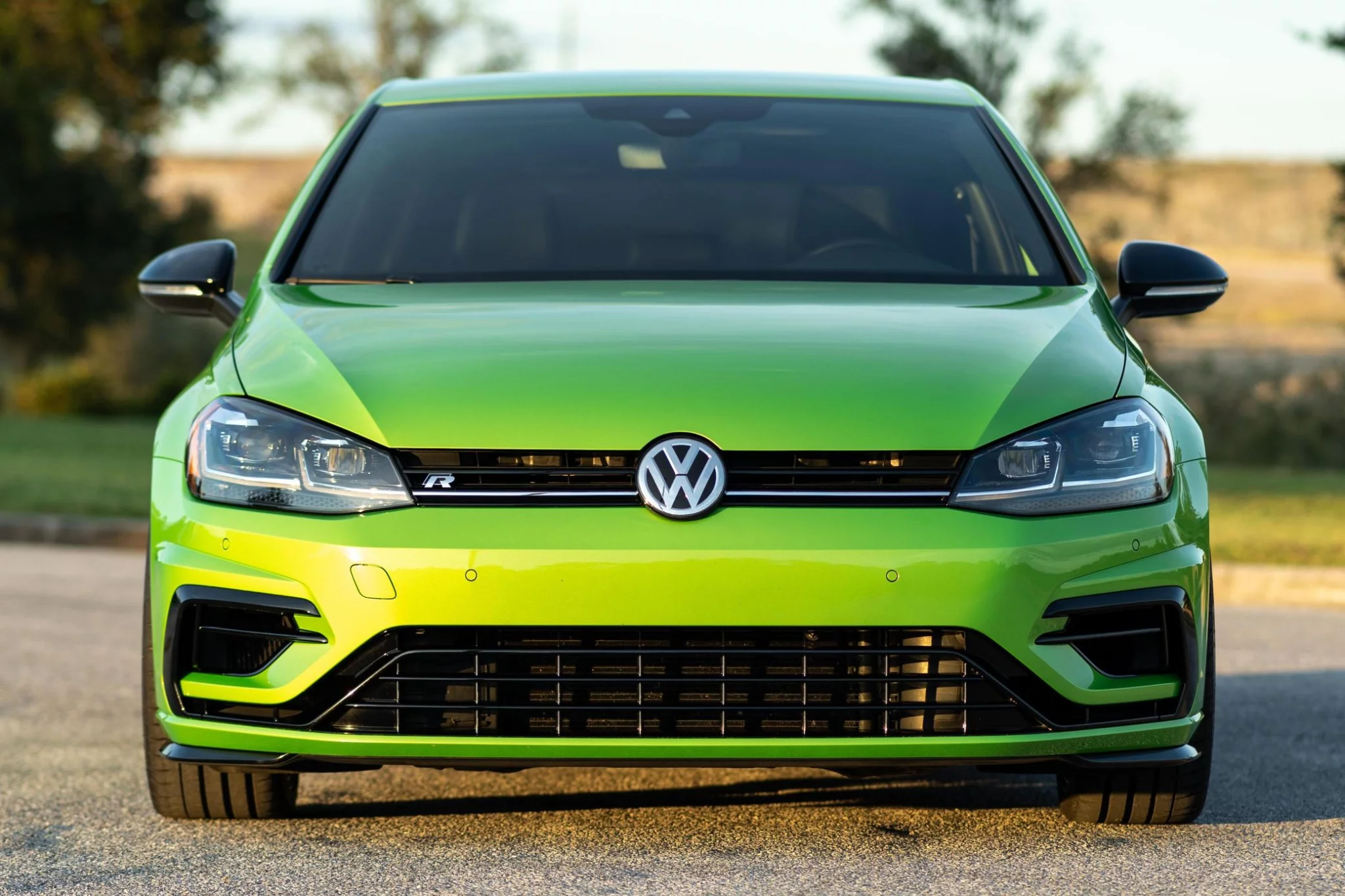 Viper Green Volkswagen Golf