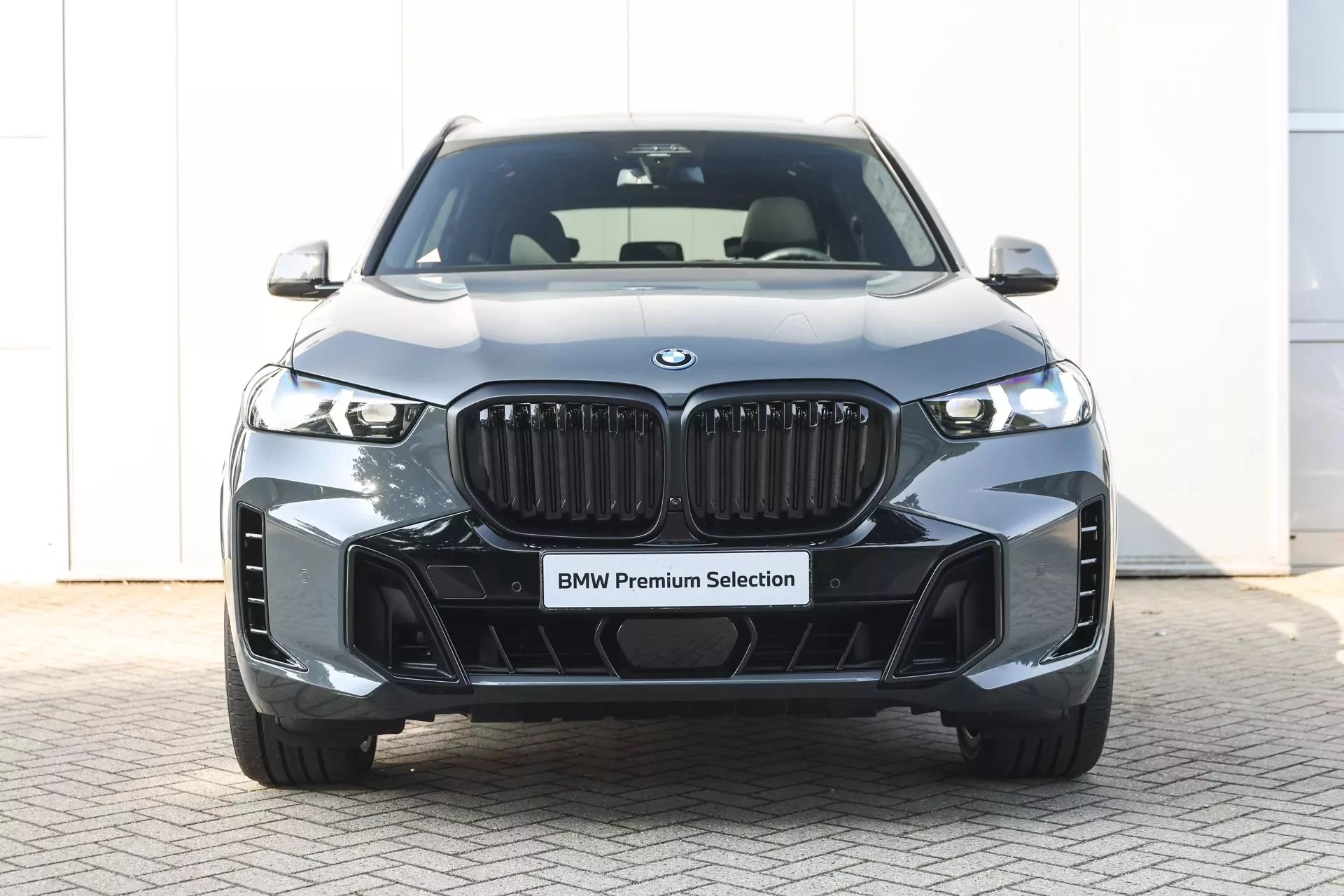 Grigio Telesto BMW X5