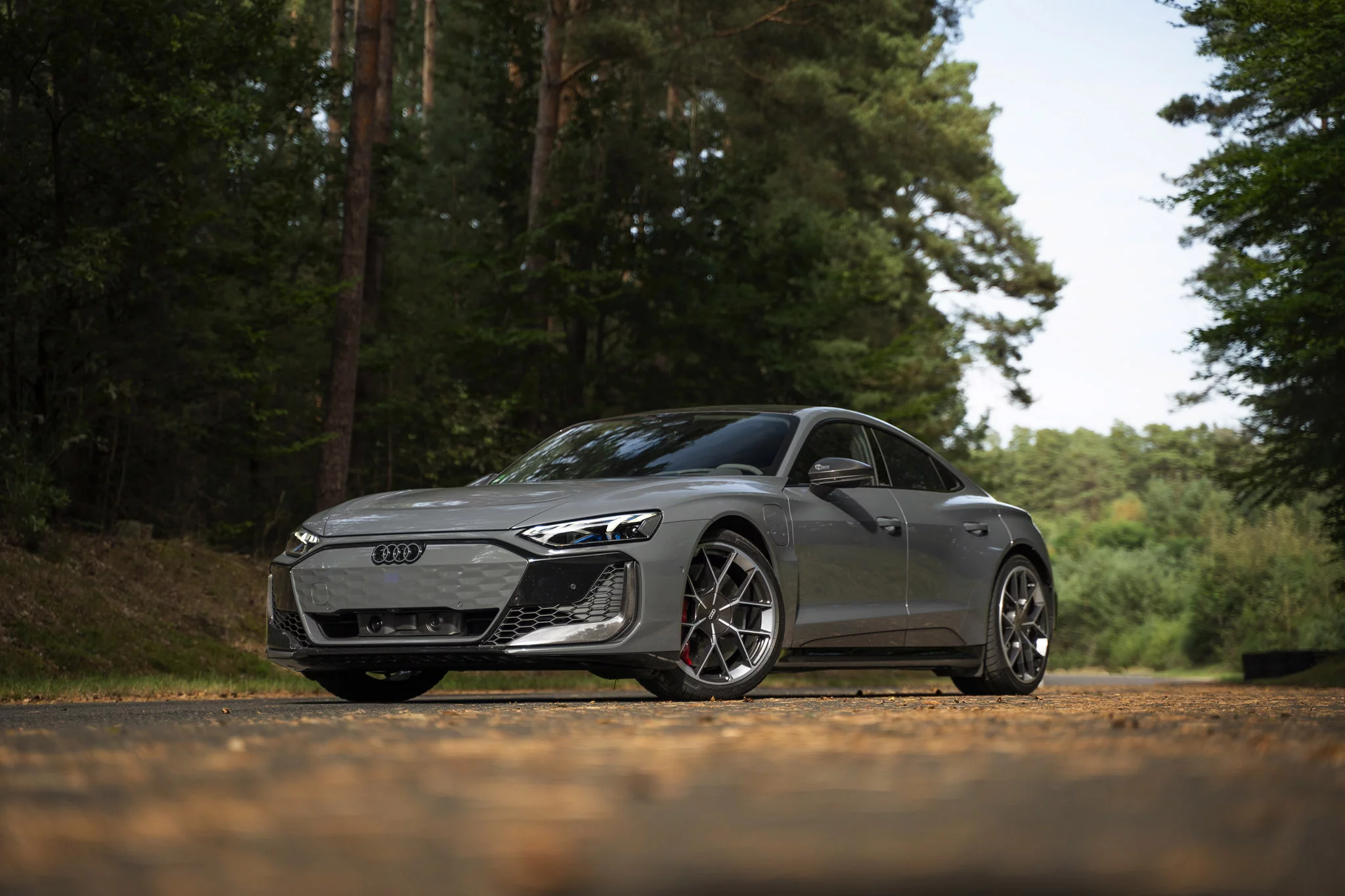 Nimbus Grey Audi RS e-tron GT