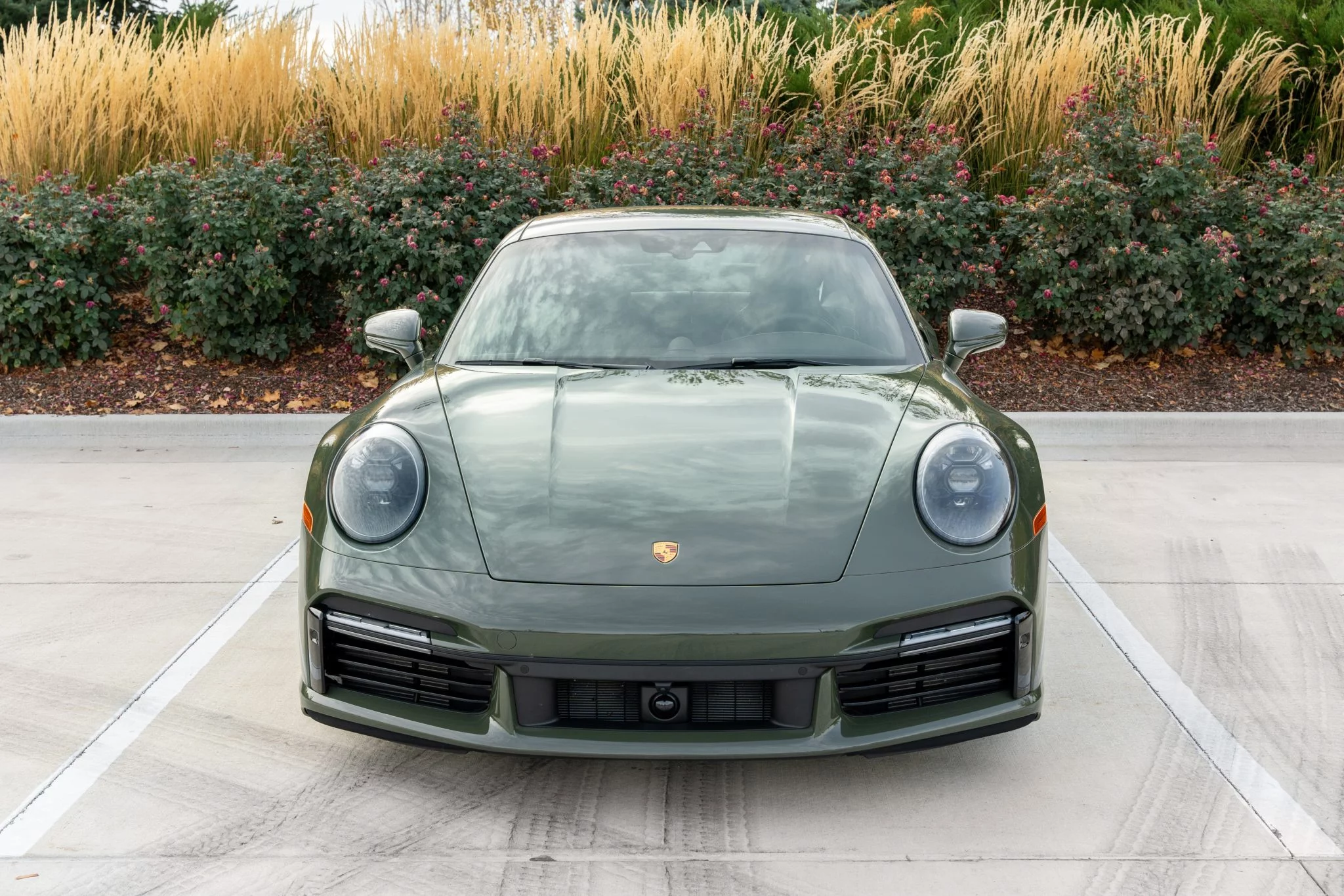 Black Olive Porsche 911 Turbo