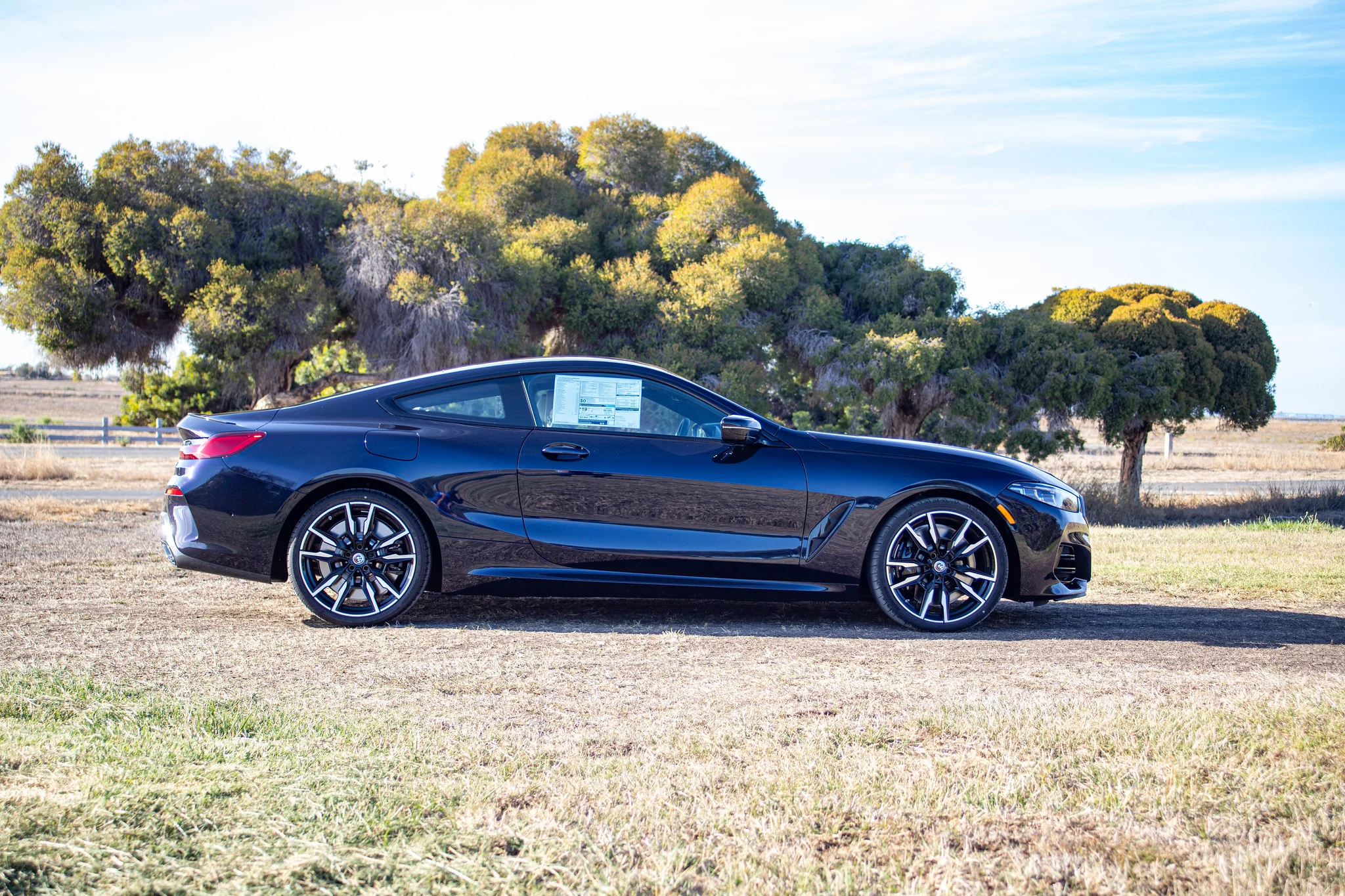 Night Blue BMW 8 Series