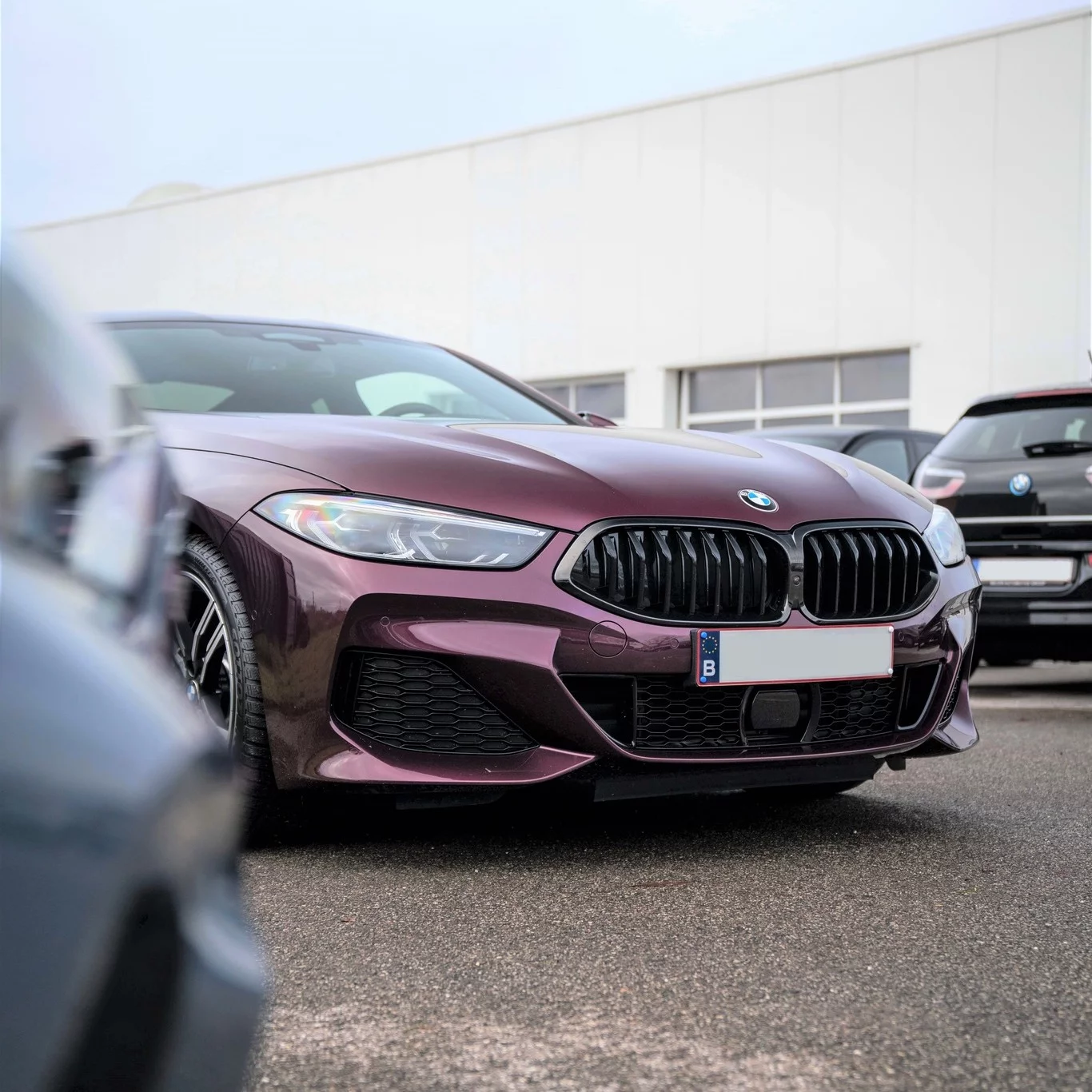 Wildberry BMW 8 Series