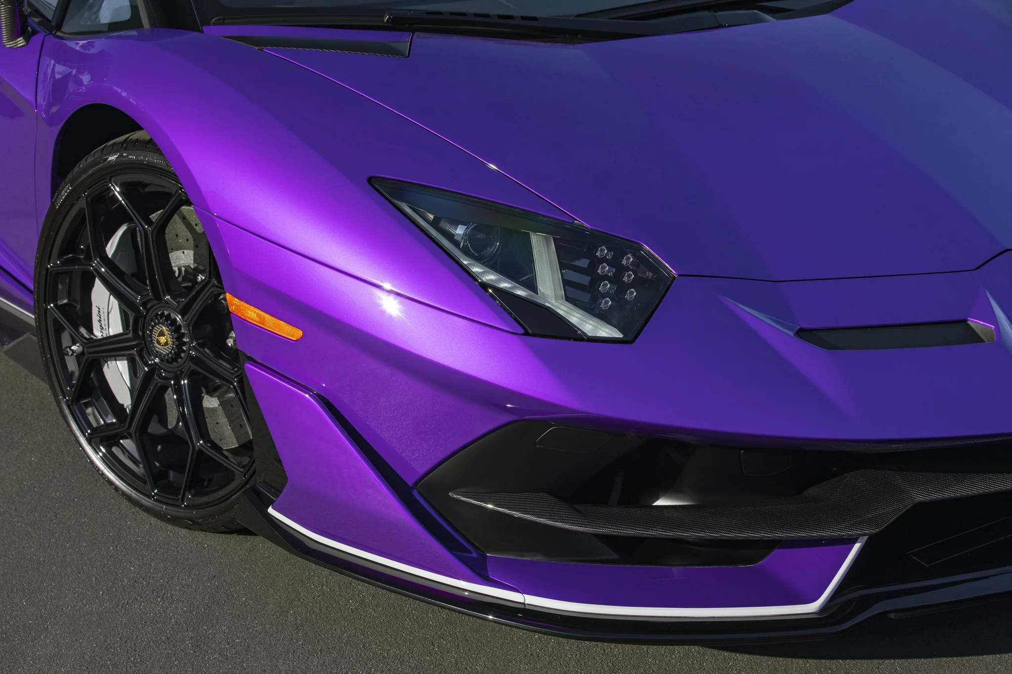 Viola Pasifae Lamborghini Aventador