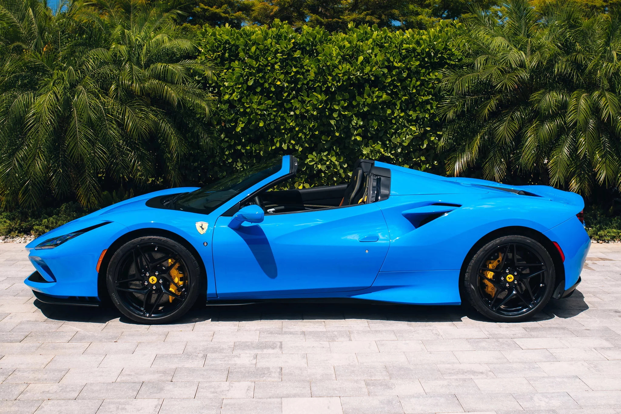 Azzurro Dino Ferrari F8