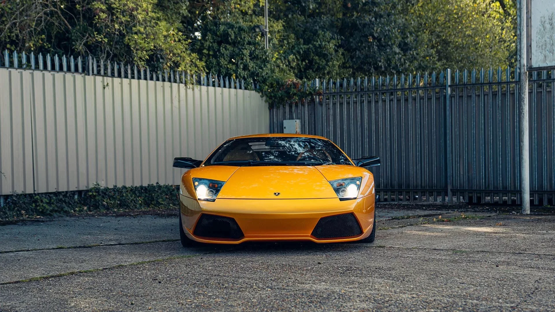 Oro Adonis Lamborghini Murciélago