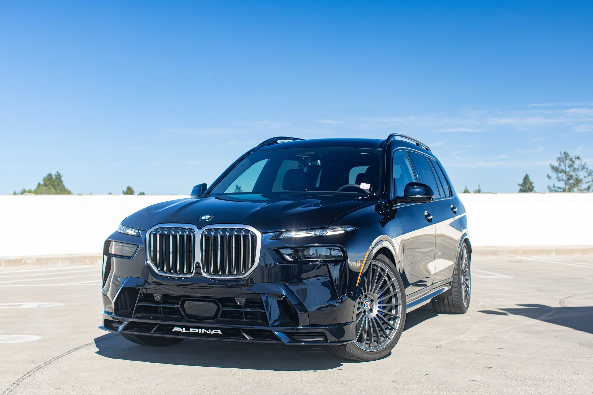 Jerez Black Alpina XB7