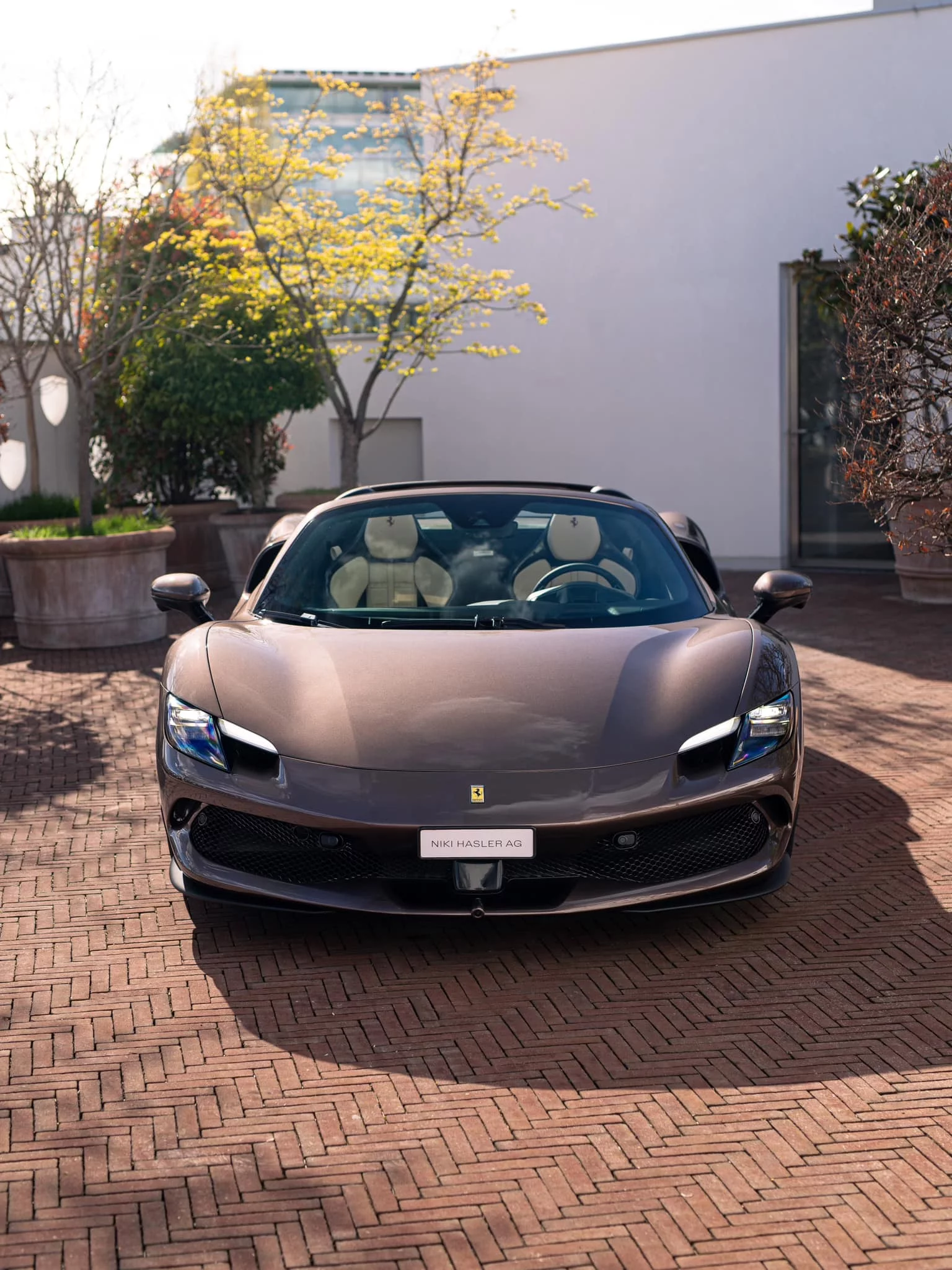 Bronzo Cauley Ferrari 296