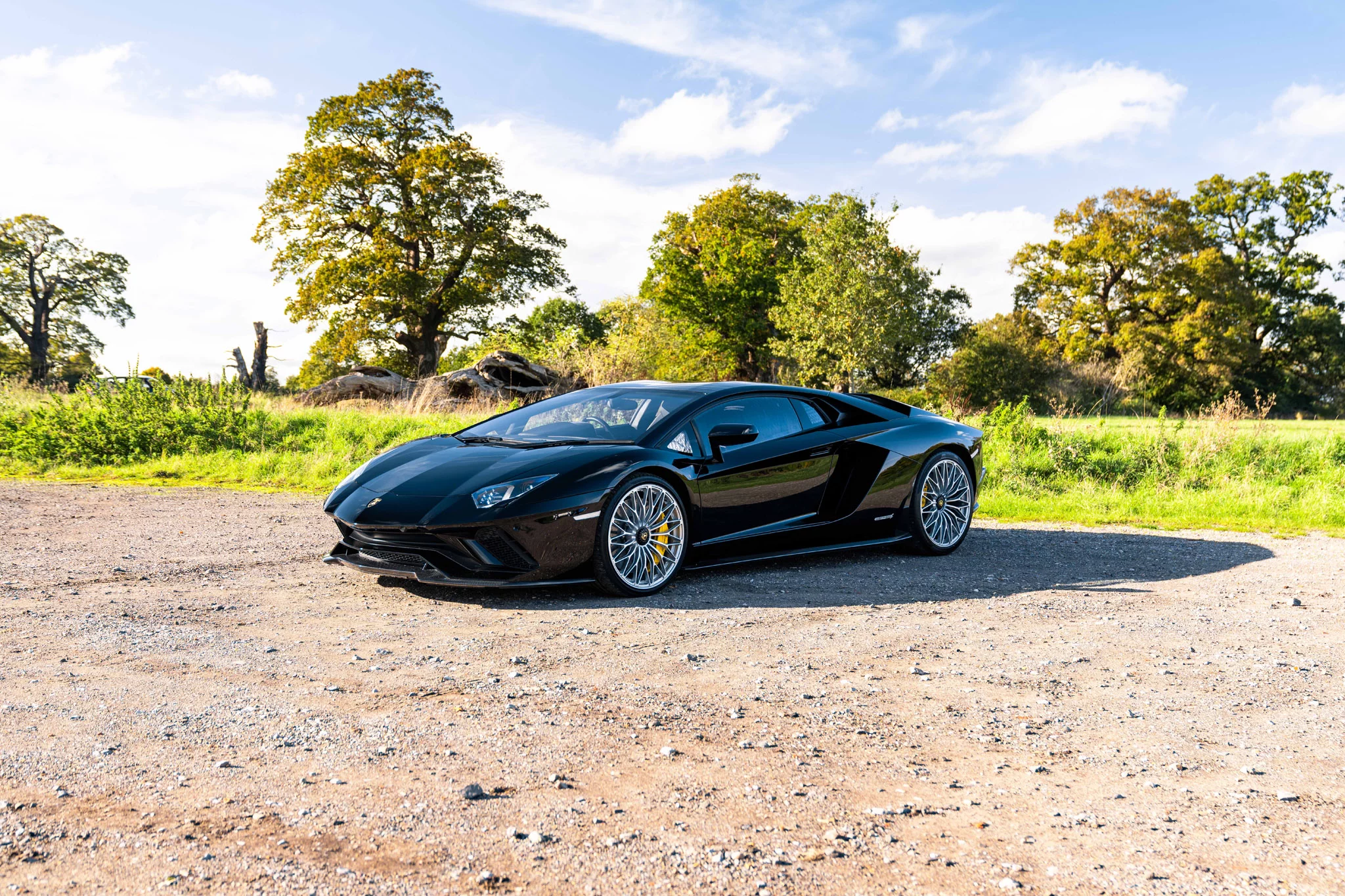 Nero Aldebaran Lamborghini Aventador