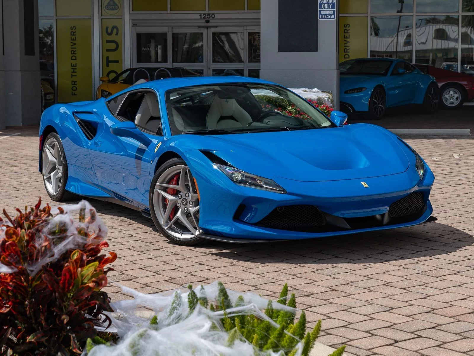 Azzurro Dino Ferrari F8