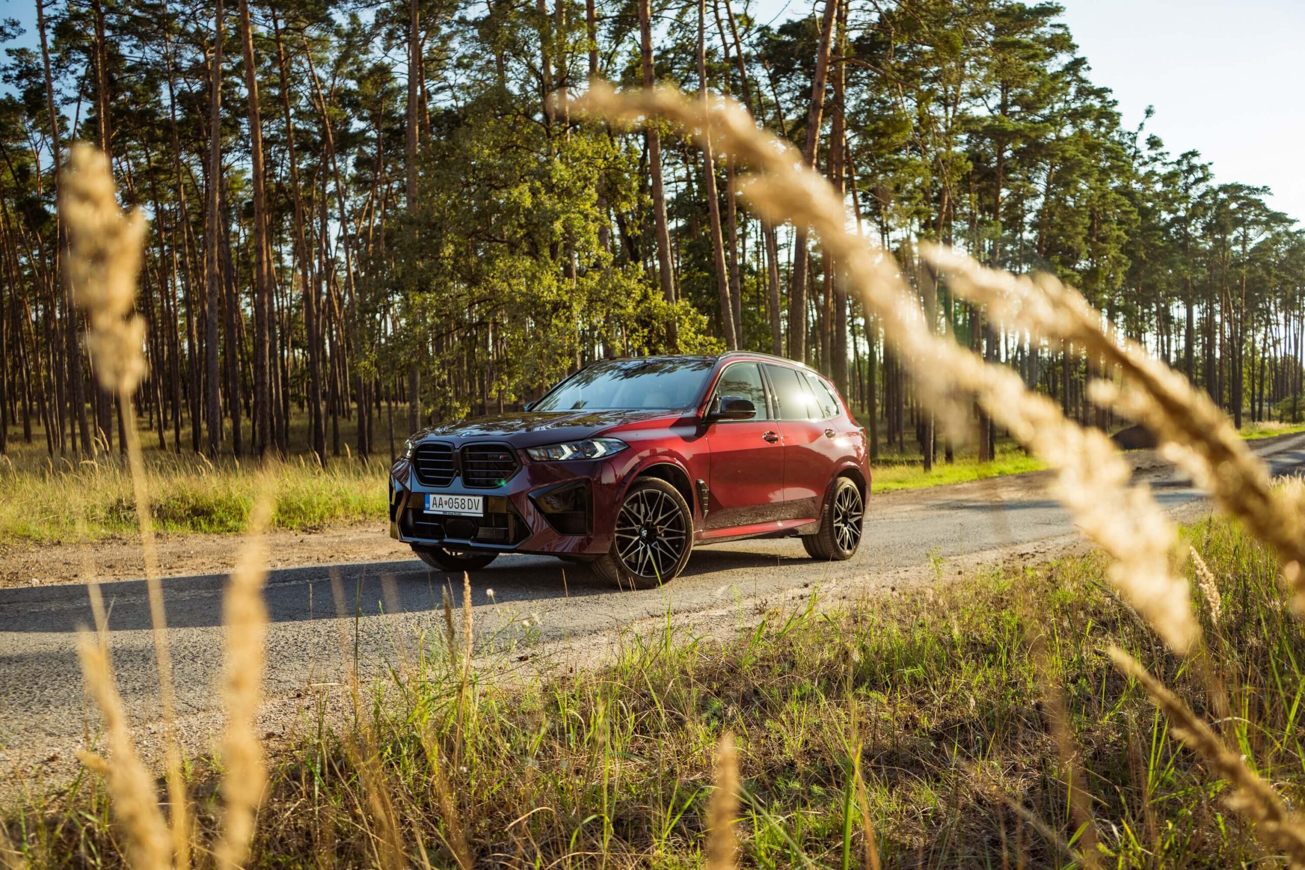 Wildberry - BMW X5 M (G05 LCI) - carpaints.co